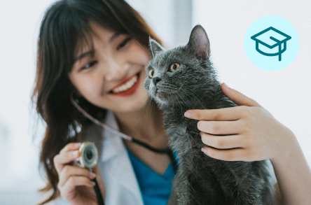 Vet Assistant Assistant Program