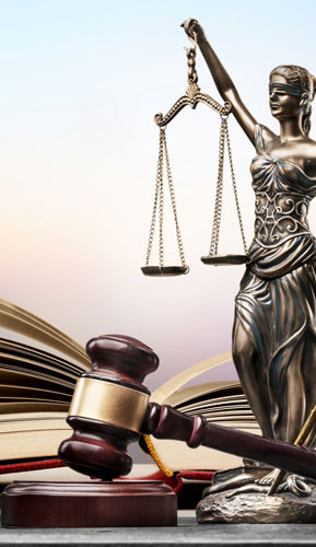Online Criminal Justice School