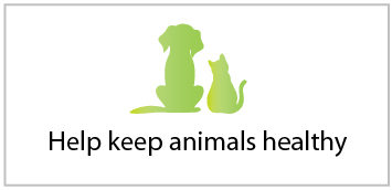 Online Veterinary Assistant Course