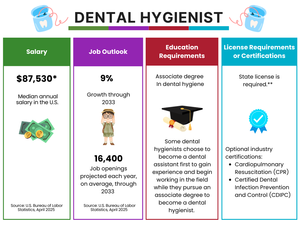 Dental Hygienist Career summary Dental Hygienist career