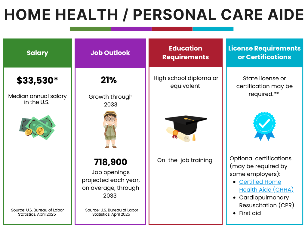 Home Health and Personal Care Aide Career summary Home Health and Personal Care Aide career