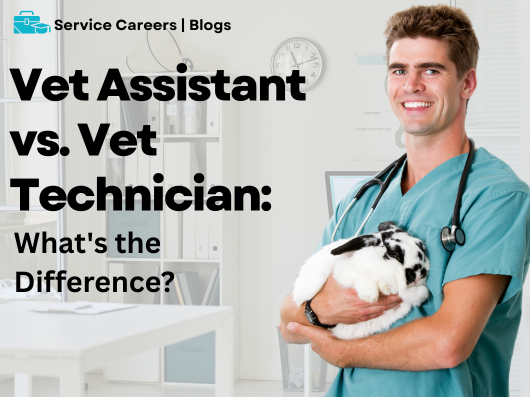vet assistant vs vet tech