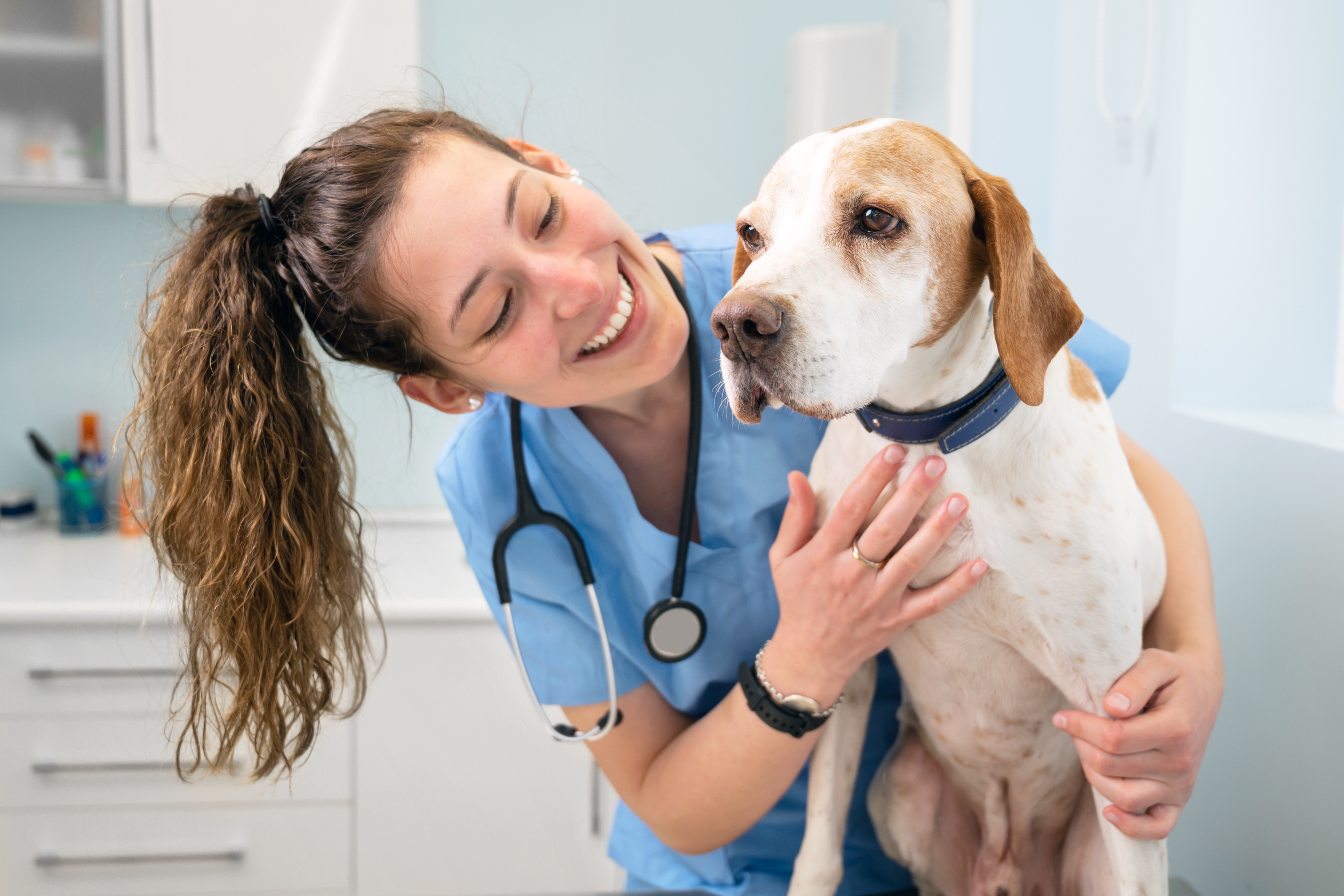 vet tech holding dog 