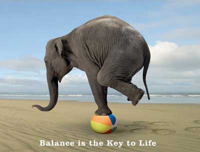 Balance is a Process Balance is a Process